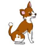 犬ちゃん
