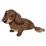 犬ちゃん